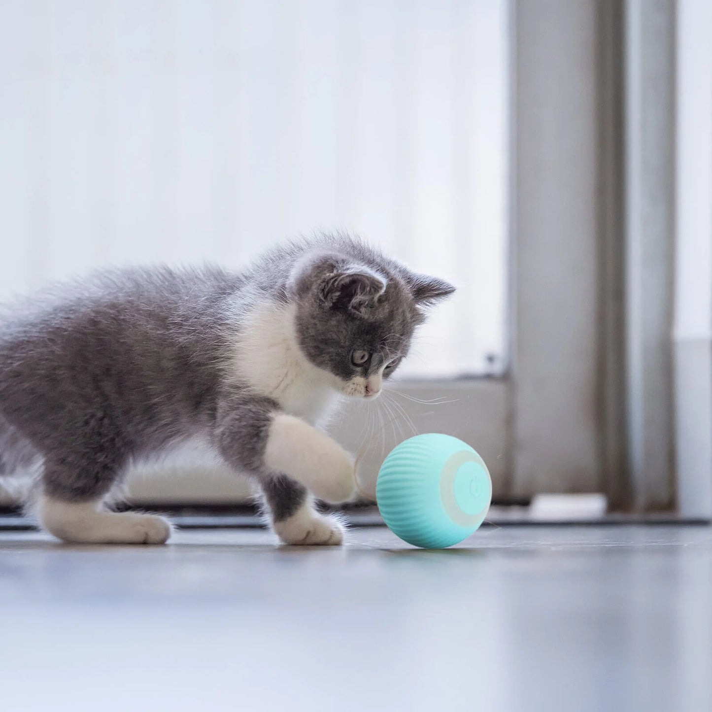 Pelota interactiva para mascotas